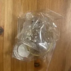 うちの子のけだまだま　チワワ 白