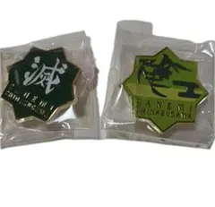 2026年最新】鬼滅 柱展 ピンズの人気アイテム - メルカリ