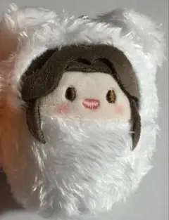 天官賜福 くるみたぴぬい 謝憐