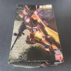 キャスバル専用ガンダム　MG 1/100 ガンプラ