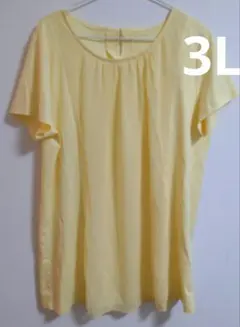 provador 　プロバドール　半袖 チュニック　イエロー LL