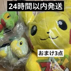 一番くじ ポケモン ラストワン賞 ピカチュウ・E賞 キモリ・F賞 ナエトル