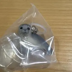 アザラシ マーカーチャーム