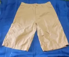 ザノースフェイス ショートパンツ