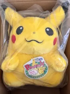 ポケモン30周年記念おかえり!ピカチュウ1/1