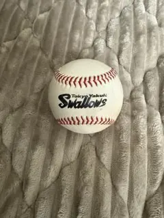 ヤクルトスワローズ 練習球