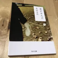 愛がなんだ 角田光代 KADOKAWA