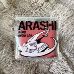 【美品】嵐 a Day in Our Life【初回出荷限定盤】