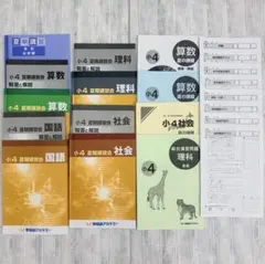 四谷大塚4年予習 国算理社/演習/漢字 上下 中古 2023年版 - メルカリ