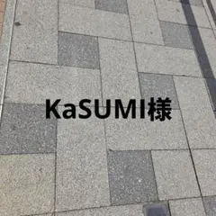 KaSUMI様専用
