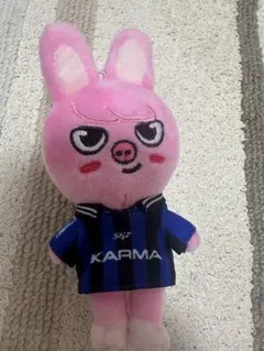 2025年最新】チャンビン ぬいぐるみの人気アイテム - メルカリ