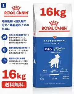 ROYAL CANIN マキシ パピー 16kg