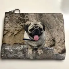 パグ犬写真プリントポーチ