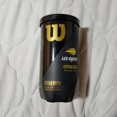 Wilson US Open テニスボール EXTRA DUTY