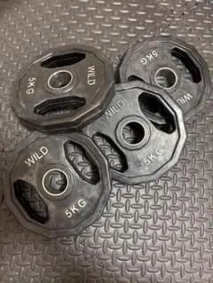 WILD FIT ダンベルプレート 5KG 4枚セット