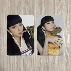 BLACKPINK ジス Born Pink フォトカードキット トレカ