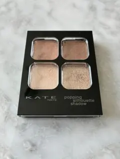 KATE ポッピングシルエットシャドウ BR-1