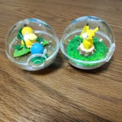ポケットモンスター テラリウムコレクション2　セット ピカチュウ コダック