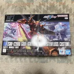 HG グフイグナイテッド 【ハイネ専用機】のサムネイル