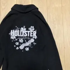 珍品　Hollister 刺繍入りスカカーディガンのサムネイル