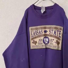 Y325【2XL】【USA製】【90s】フルーツオブザルーム カレッジスウェット