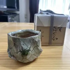 伊勢崎陽太郎 HAL 銀彩ぐい呑 - メルカリ