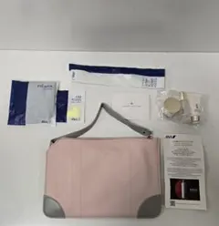 GLOBE-TROTTER ANAビジネスクラスアメニティポーチ