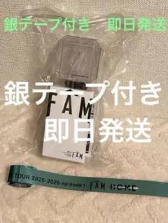 timelesz タイムレス FAM DOME ペンライト 銀テープ付き