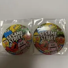 ☆USJ セサミストリート 缶バッジ 2個セット☆