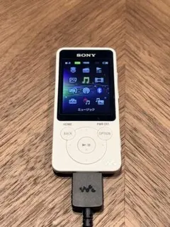 2026年最新】sony nw-s786の人気アイテム - メルカリ