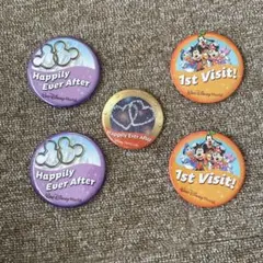 ウォルトディズニーワールド ピンバッジ 5個セット