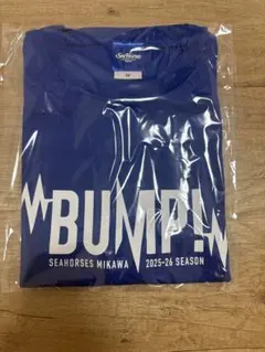 SEAHORSES MIKAWA BUMP! Tシャツ M