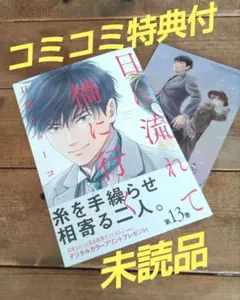 日に流れて橋に行く 1〜12巻セット 全巻 日高ショーコ - メルカリ