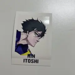 糸師凛 ブルーロック 原作 パシャこれ トレカ カード 原画展 ブルーロック展 糸師凛 ぱしゃこれ No.15 70点セット 駿河屋