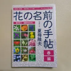 Item thumbnail for item 7b721a21-af16-4dd8-8c64-f710ee1883e8