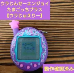 【動作確認済】ウラじんせーエンジョイ！たまごっちプラス　ウラじゅえりー 動作確認済み】ウラじんせーエンジョイ！たまごっちプラス 《ウラじゅ