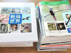 2025年最新】週刊 野鳥の世界の人気アイテム - メルカリ