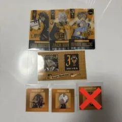 ツイステ　アニメイト　特典　チケット風カード　スクエアカード　サバナクロー