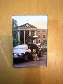 バックトゥーザフューチャー ピンズ