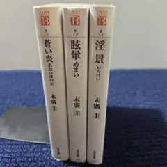 官能小説まとめ売り　計８５冊 官能小説まとめ売り 計85冊 官能小説まとめ売り 計85冊 本格小説（