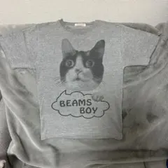 BEAMS BOY 猫プリント Tシャツ グレー