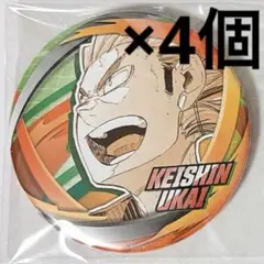 ハイキュー!! ファンパーク‼︎ コレ缶　缶バッジ　烏養