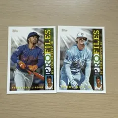 ヤクルト スワローズ】 プロ野球チップス 高津臣吾・ペタジーニカード