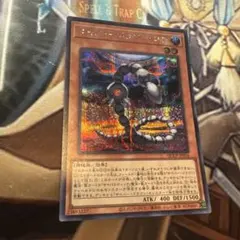 サイバードラゴンコア シークレット