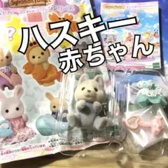 【ガチャ】『どきどきコレクション-赤ちゃん海のおともだち』ハスキーの赤ちゃんのサムネイル