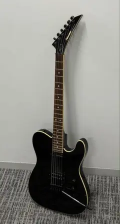 2025年最新】fernandes サスティナーの人気アイテム - メルカリ