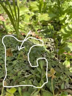 ゆみみん様 リクエスト 2点 まとめ商品