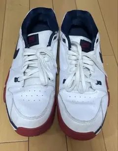 【投売！即発送！】ナイキ クロストレーナー LOW メンズ 靴 29cm