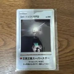 始まってるSKRYU SKRYU スクリュー　グッズ　ハダカード