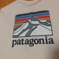 ☆新品未使用☆パタゴニアPatagonia 長袖Tシャツ ロンT